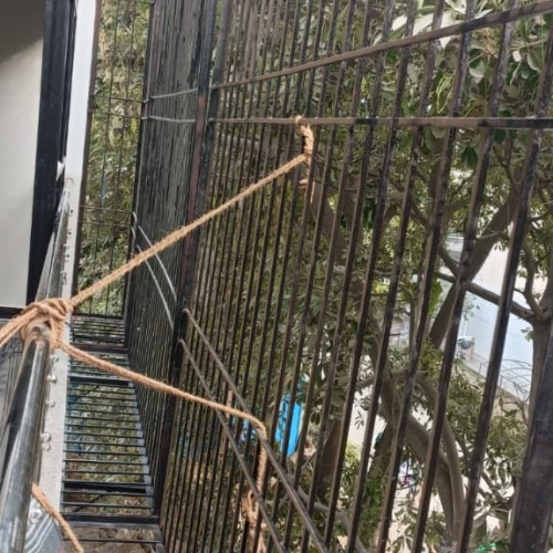 Untitled design (14)